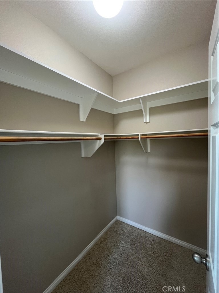2884 Bella Court - Photo 48