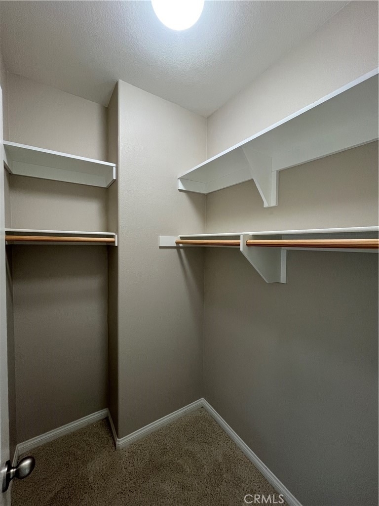 2884 Bella Court - Photo 50