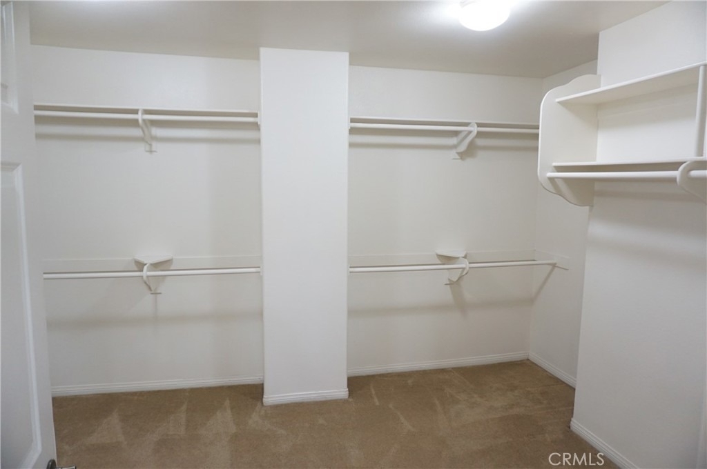 11855 Birch Grove - Photo 50