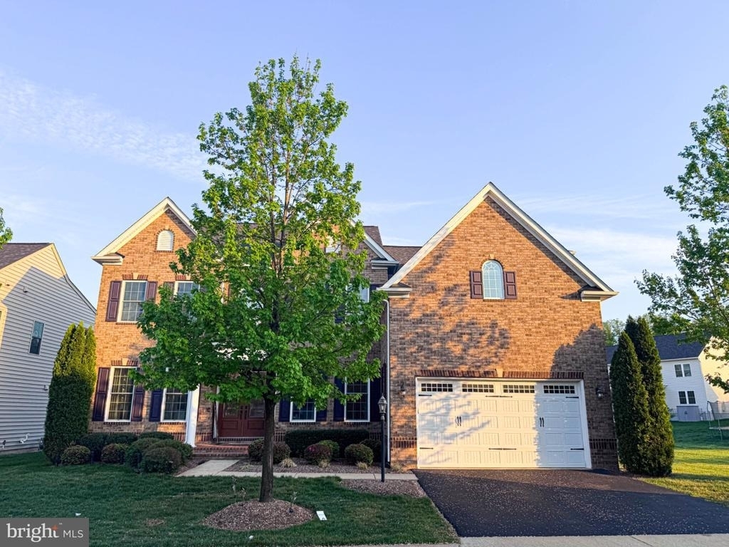 41523 Cross Canter Drive - Photo 4
