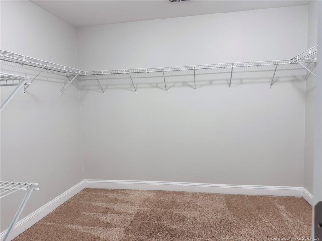 188 Bandana Way - Photo 17