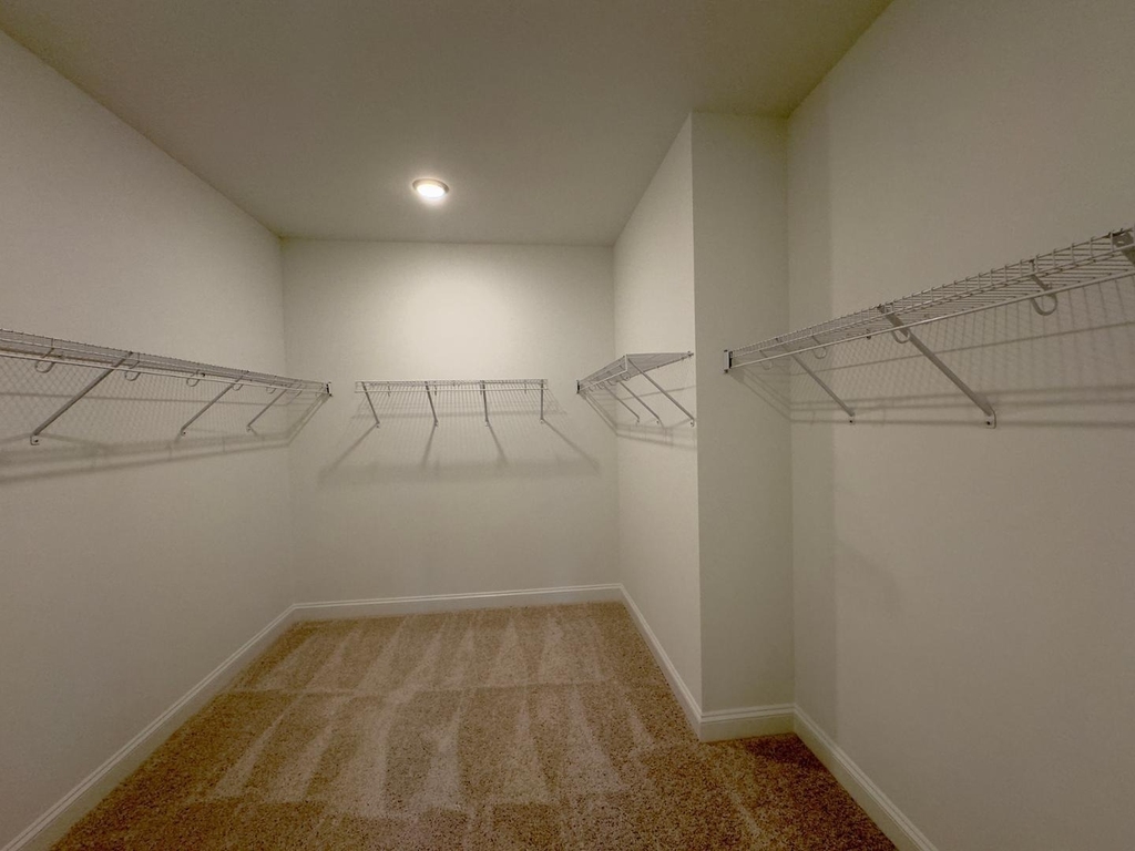 2126 Maggie Valley Drive - Photo 20