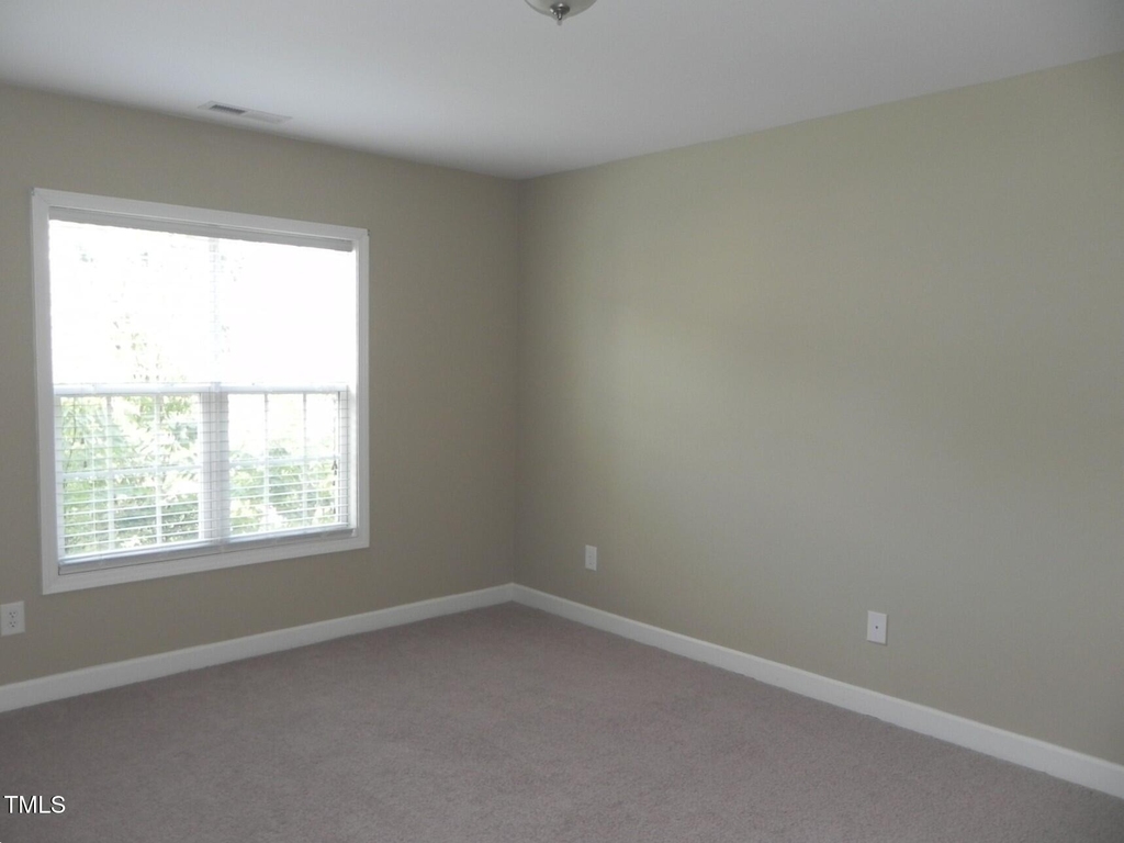 217 Butterbiggins Lane - Photo 9