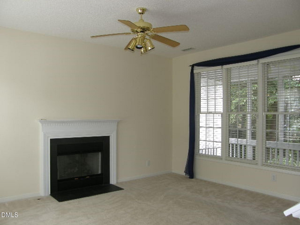 207 Cove Creek Drive - Photo 4