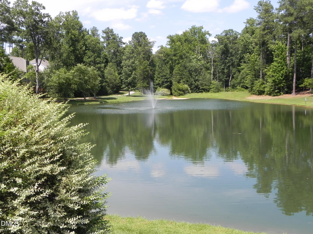 207 Cove Creek Drive - Photo 18