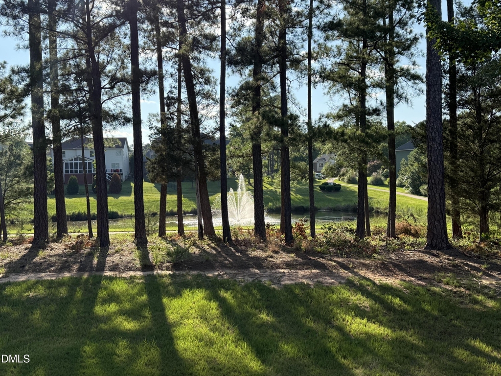 453 Sandy Whispers Place - Photo 47
