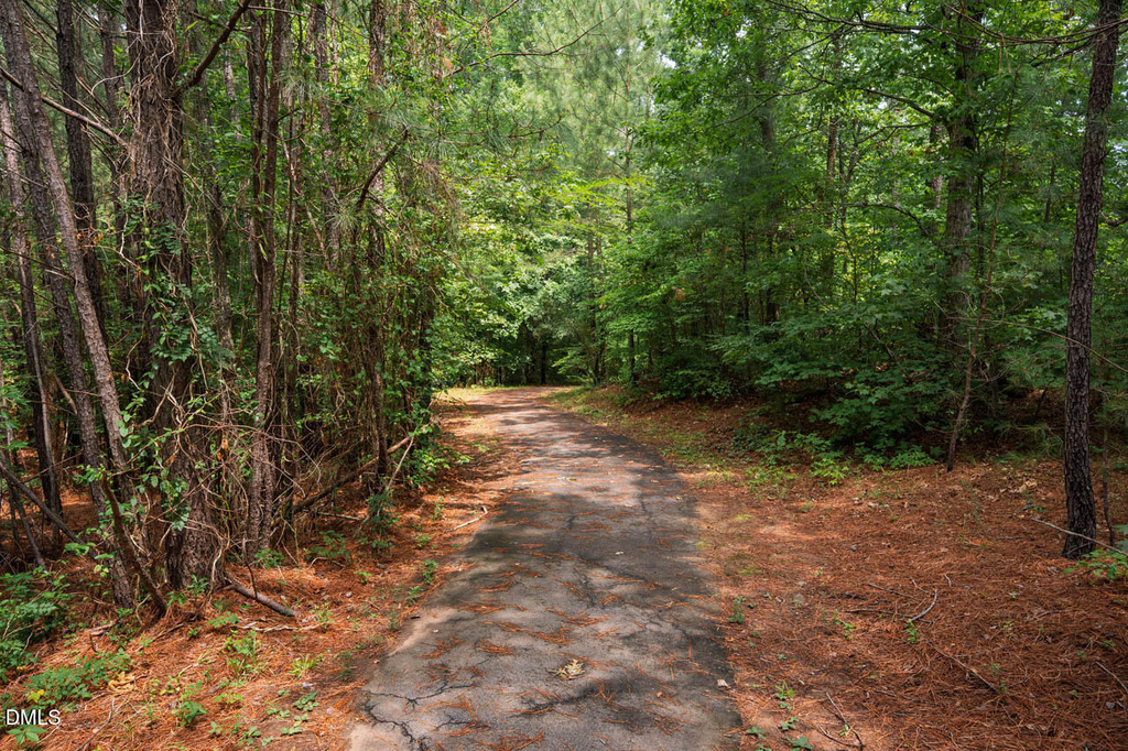 453 Sandy Whispers Place - Photo 45