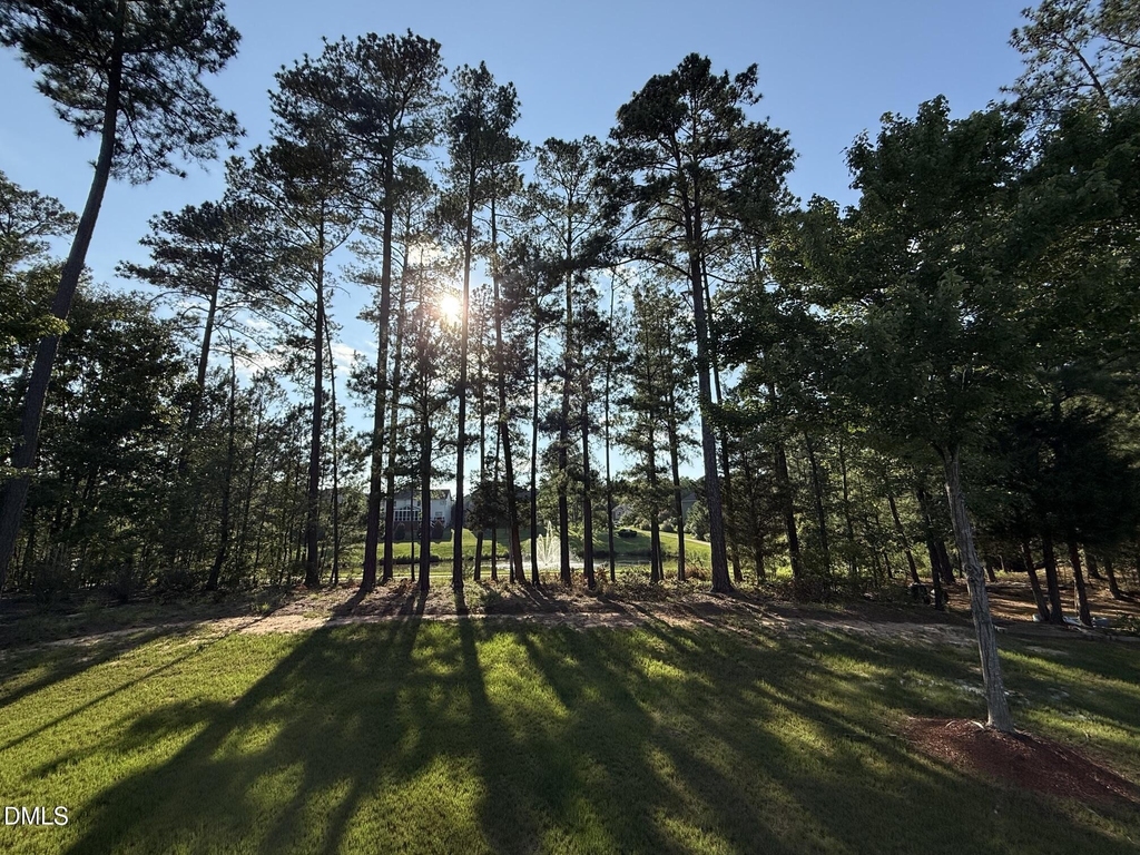 453 Sandy Whispers Place - Photo 48