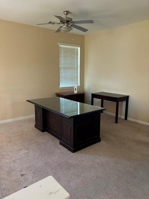 429 Falcon Ln - Photo 9
