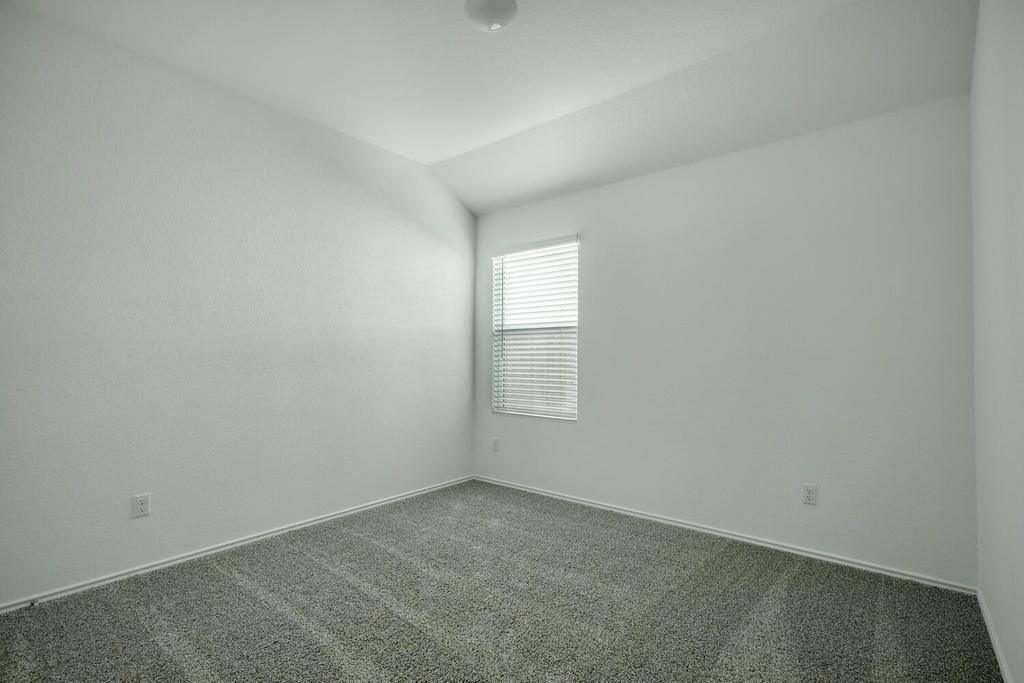 241 Majestic Cedar Ct - Photo 10