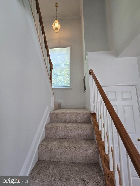 11327 Wildmeadows Street - Photo 17