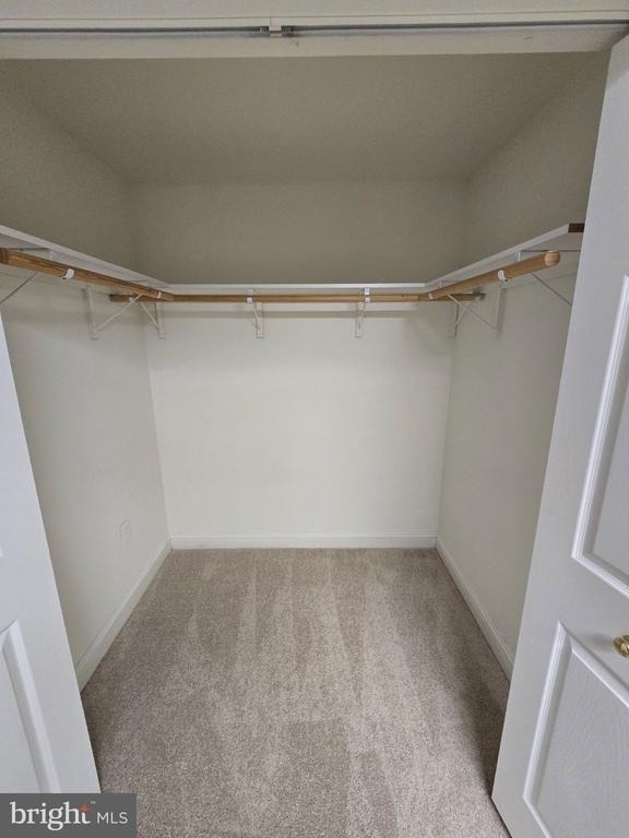 11327 Wildmeadows Street - Photo 52