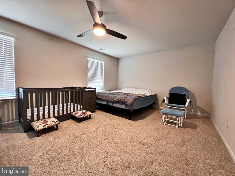 44 Sedge Wren Way - Photo 9