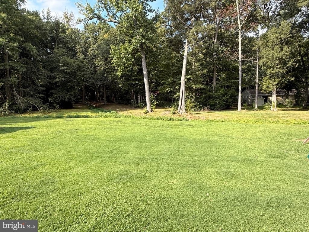 80 Merion Road - Photo 36