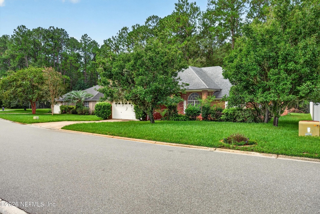 11669 Collins Creek Drive - Photo 2