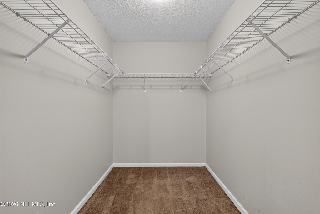 11669 Collins Creek Drive - Photo 23