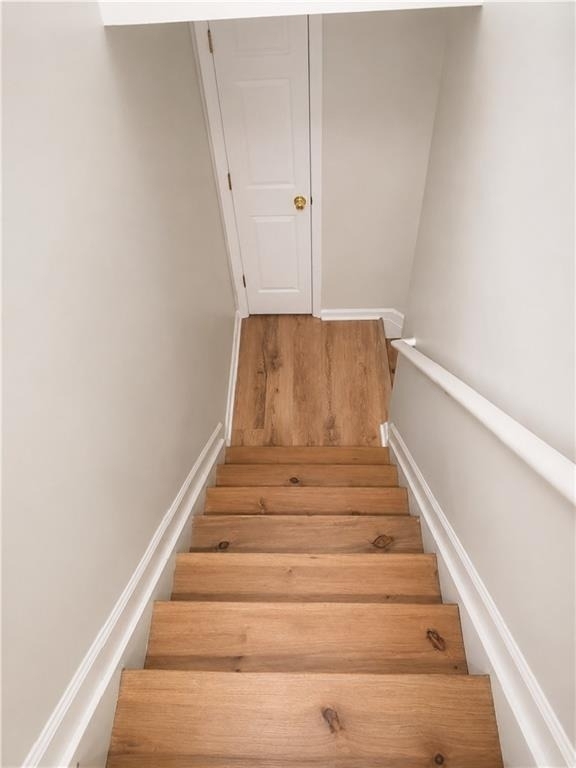 3152 Mill Springs Circle - Photo 11