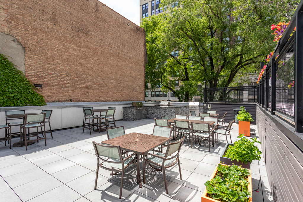 21 W Goethe Street - Photo 32