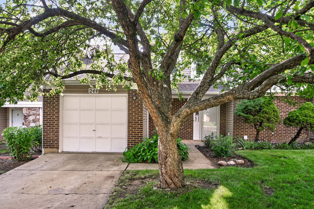 244 Coventry Court - Photo 1