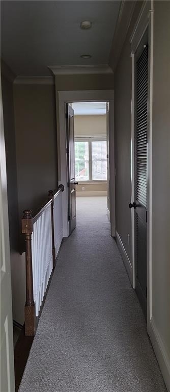 4742 Cypress Commons - Photo 12