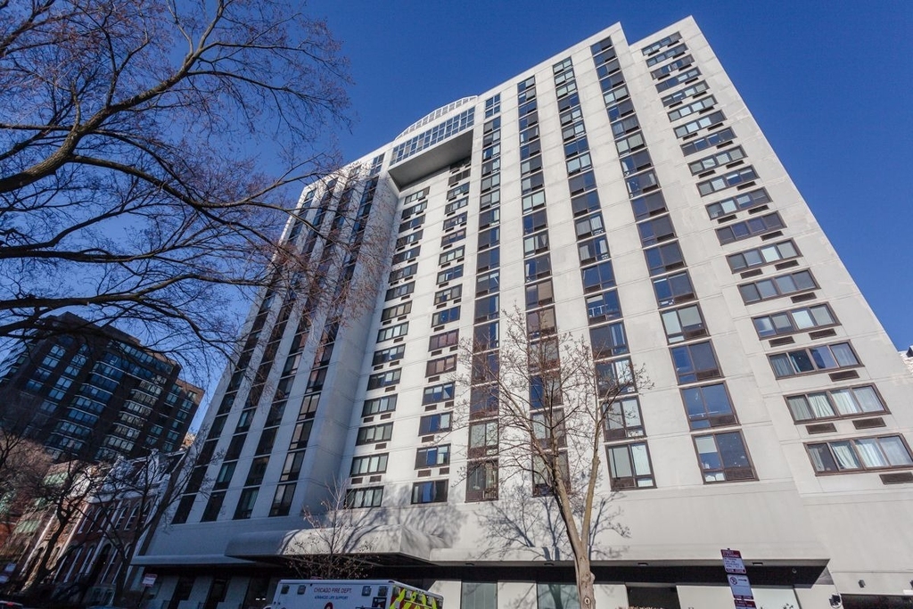 1221 N Dearborn Street - Photo 0