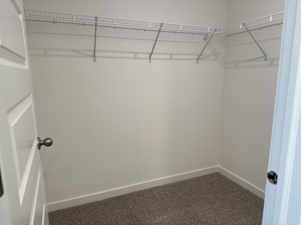2428 Semillon Street - Photo 18
