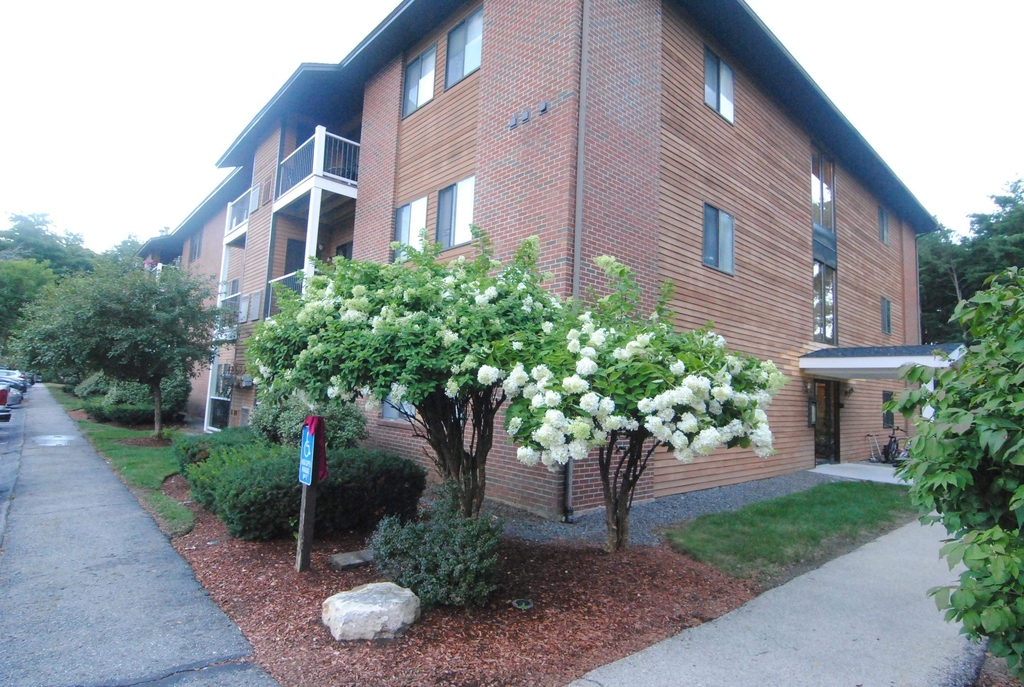 15 Blackstone - Photo 0