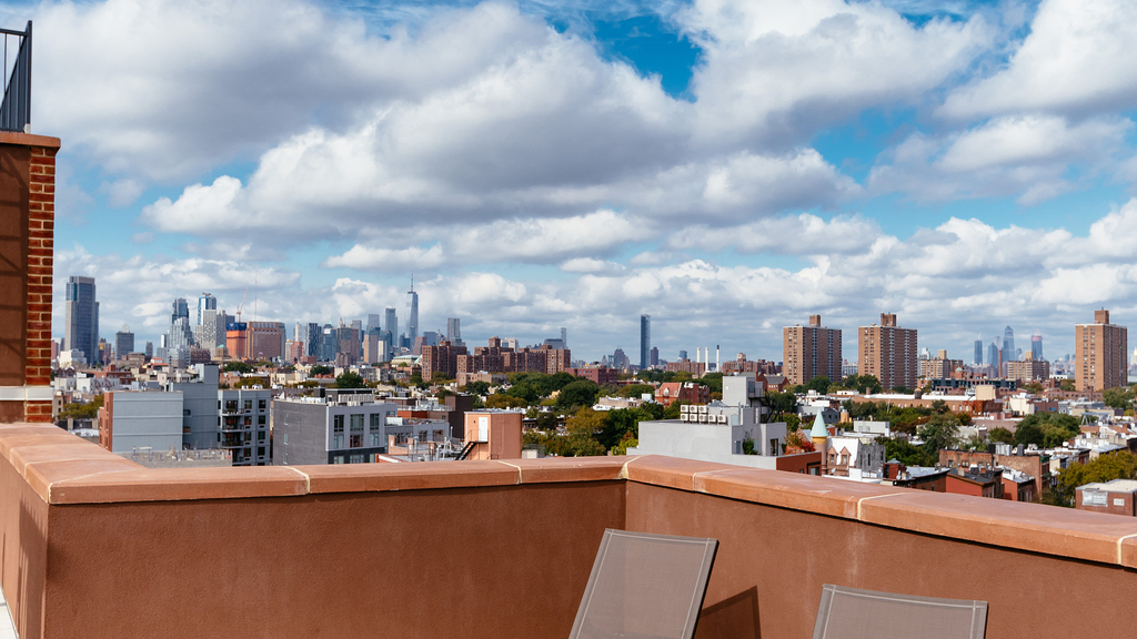 1068 Fulton St - Photo 19