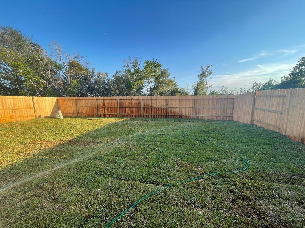 31511 Silverthorne Bush Drive - Photo 10