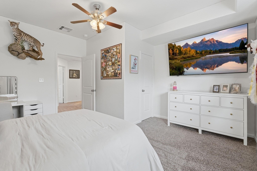 118 Shadow Springs Trail - Photo 33