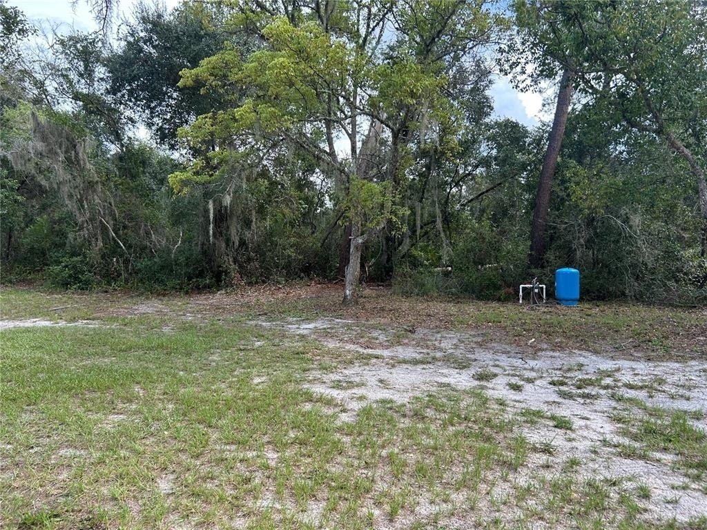 2229 Adelia Boulevard - Photo 5