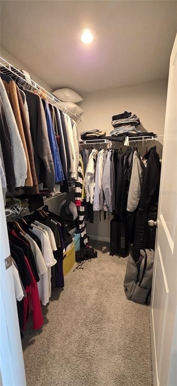 4100 Cloud Hopper Way - Photo 24