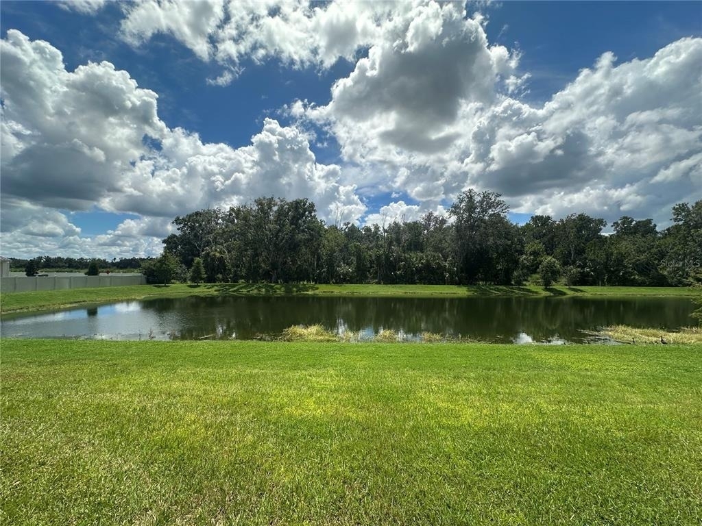 26128 Fantasy Sky Lane - Photo 20