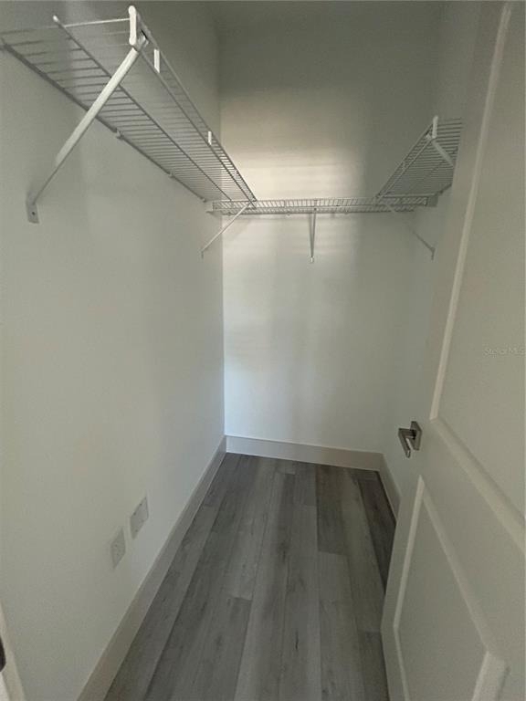 1531 W Gainsboro Lane - Photo 13