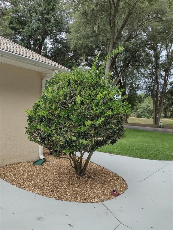 592 Dowling Circle - Photo 4