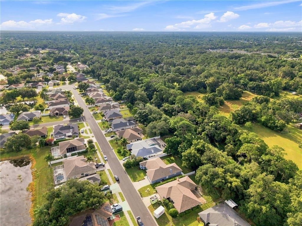 2405 Appaloosa Circle - Photo 40