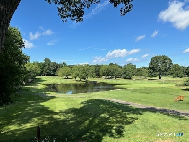 115 Seir Hill Road - Photo 39