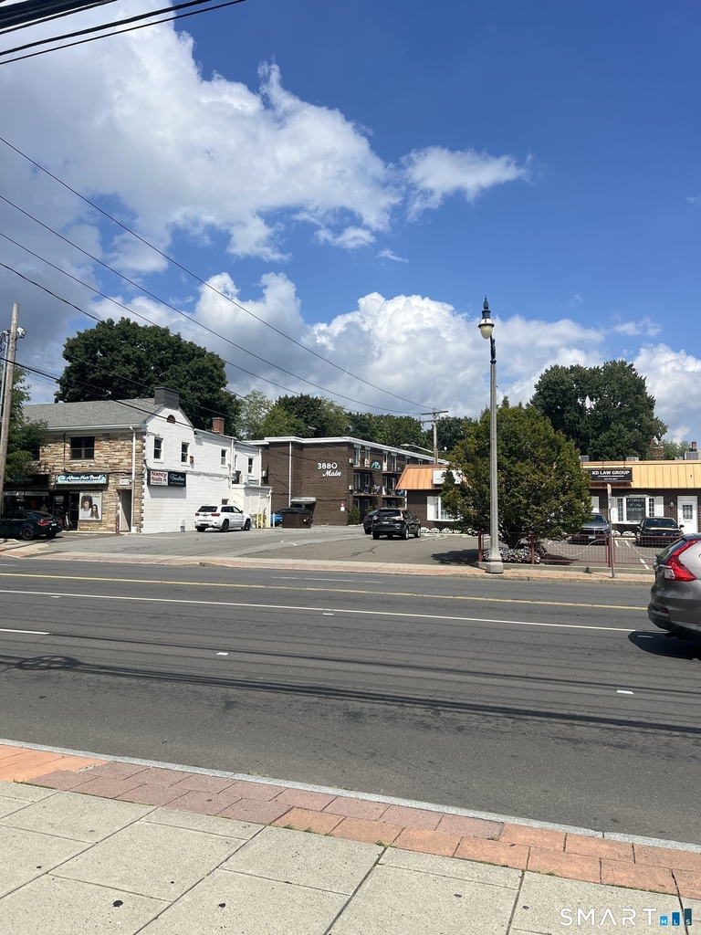 3880 Main Street - Photo 9