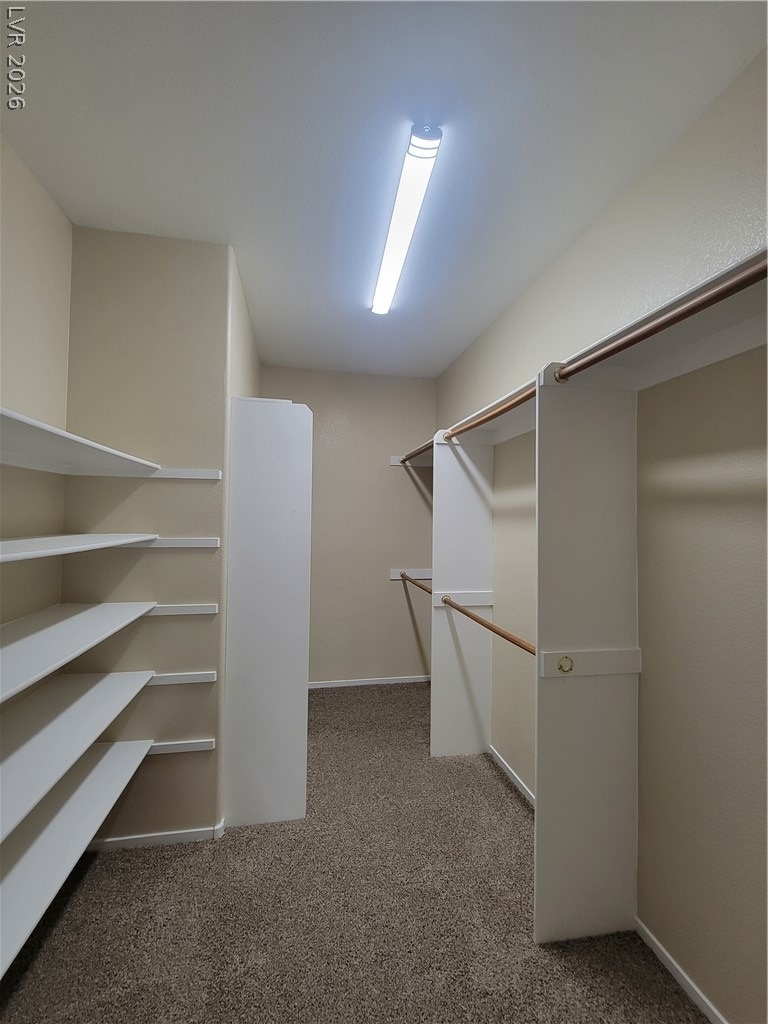 3593 Australian Cloud Drive - Photo 11