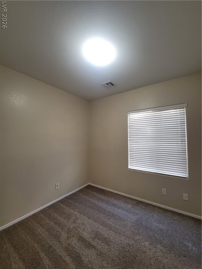 3593 Australian Cloud Drive - Photo 23