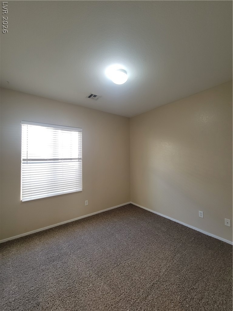 3593 Australian Cloud Drive - Photo 19
