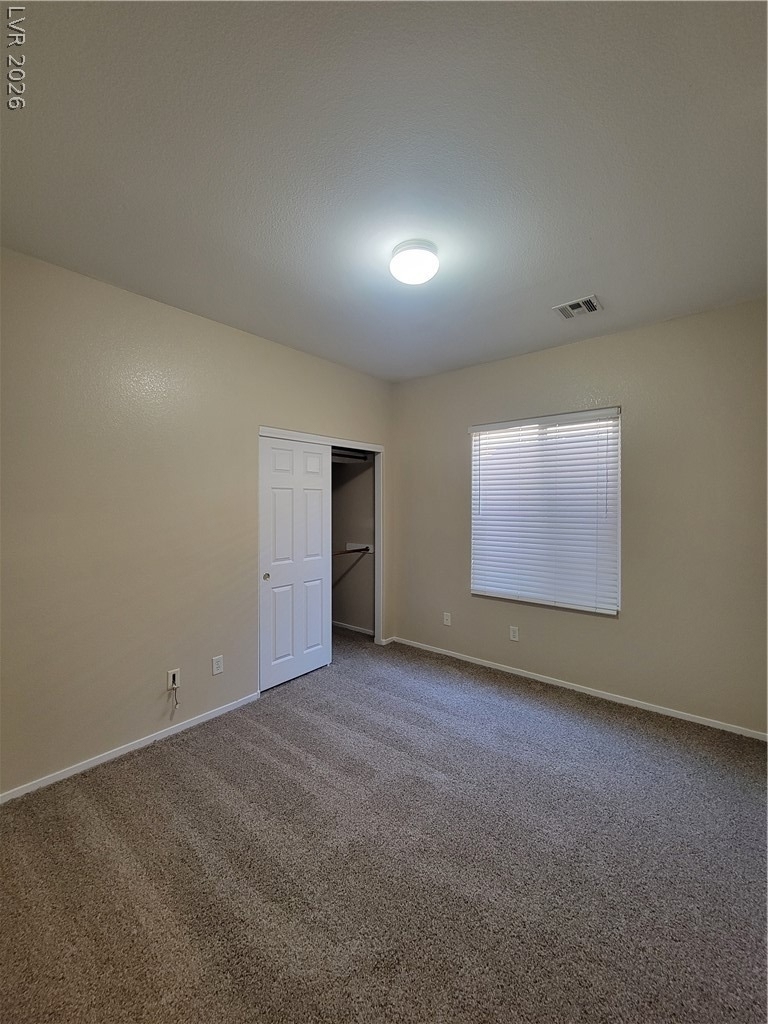 3593 Australian Cloud Drive - Photo 21