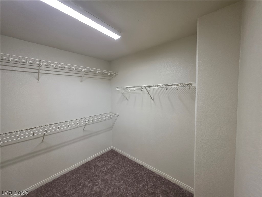 7349 Dolphine Crest Avenue - Photo 26