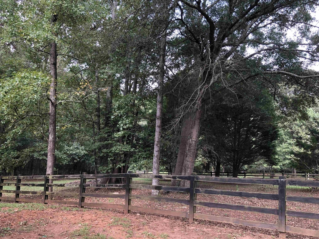 25 Meadow Ridge Drive - Photo 21