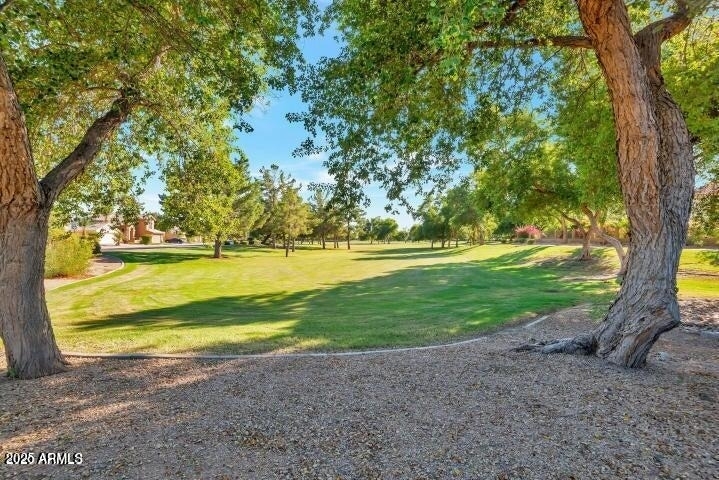 1712 W Sparrow Drive - Photo 3