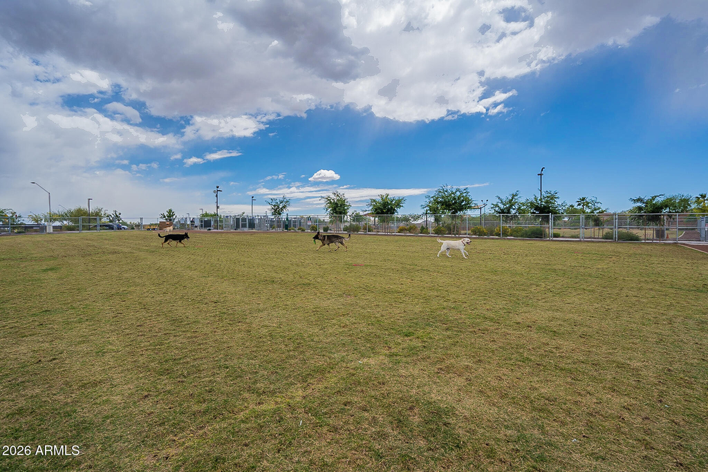 39518 N White Tail Lane - Photo 37