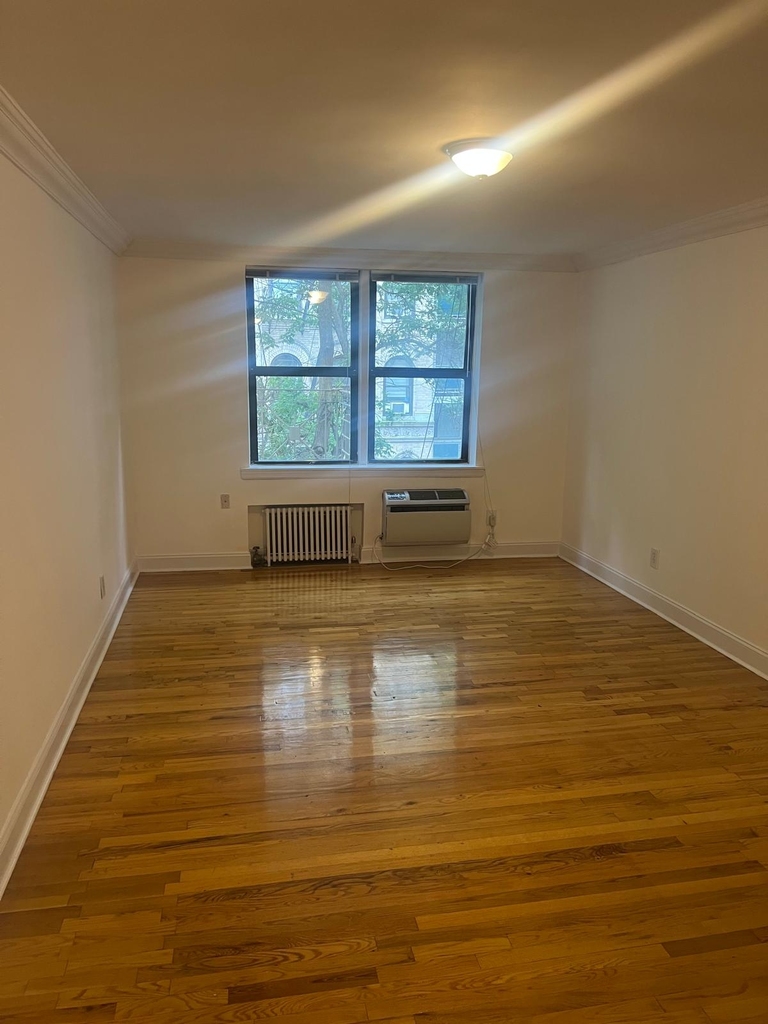 East 80th Street - Photo 3