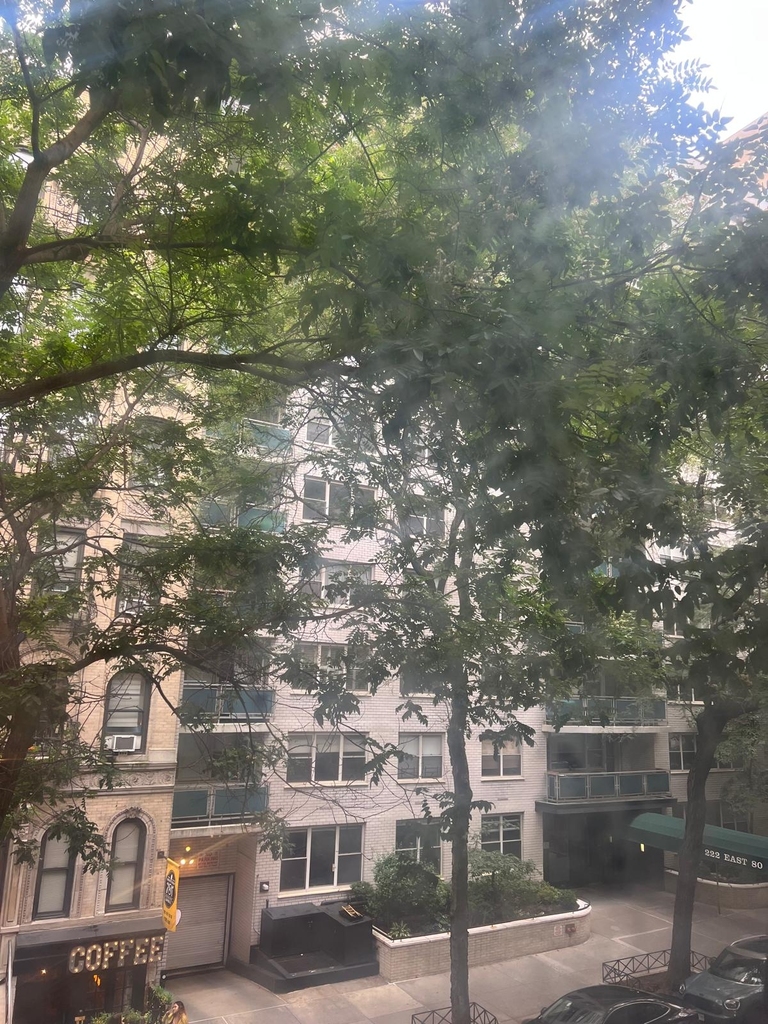 East 80th Street - Photo 6