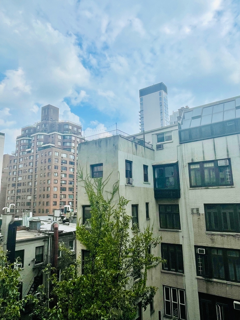 156 East 37th Street - Photo 3