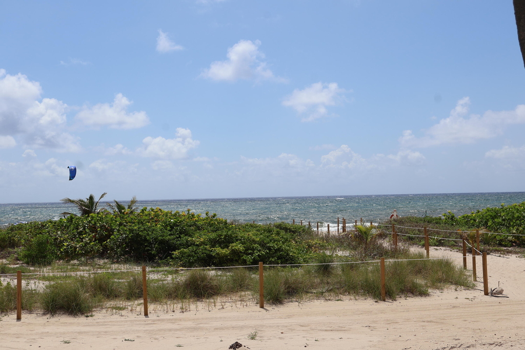 2000 S Ocean Boulevard - Photo 2